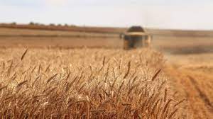 Export thousands of tons of agricultural products from Luhansk region