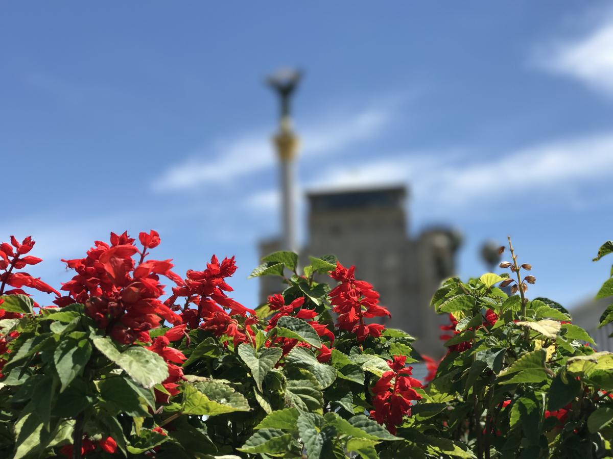 Temperatures will rise in Ukraine tomorrow, June 9