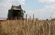 Ukraine loses 25 percent of its agricultural land due to the war