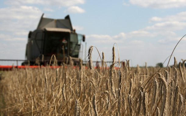 Ukraine loses 25 percent of its agricultural land due to the war