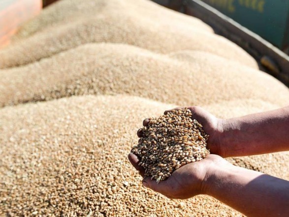The United States is skeptical about the agreement with Russia on Ukrainian grain because of Russia's demand to lift sanctions - Politico