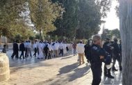 Israeli settlers storm Al-Aqsa shrine in Jerusalem in honor of Jewish holiday