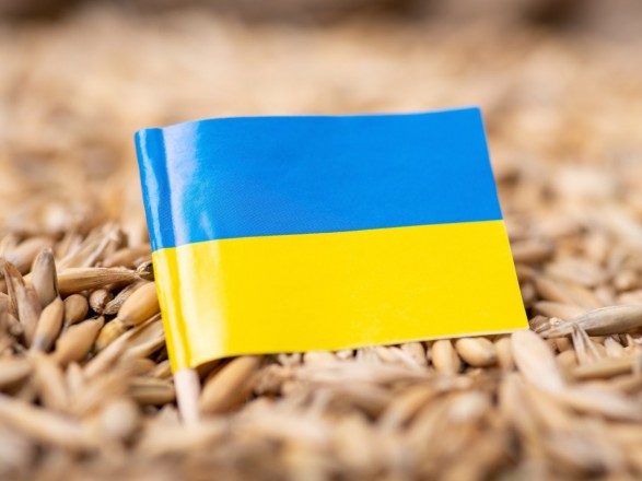 Export of grain from Ukraine: the expert talked about the issues that are still open