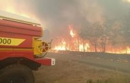 Fires broke out in France: more than 600 g of land burned to the ground
