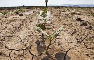Drought threatens 60% of the territory of the EU and Great Britain - study
