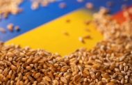 Ukraine has already exported 450,000 tons of food through the 