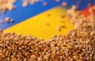 Ukraine has already exported 450,000 tons of food through the 