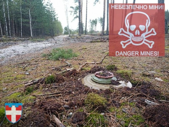 Residents of the Volyn region are warned about mines in the forests on the border with Belarus