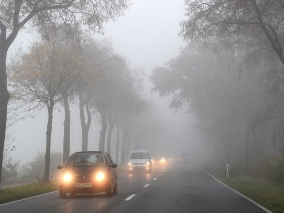 Forecasters predict wet weather with fog tomorrow