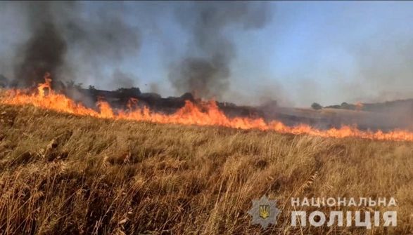The occupiers caused more than $ 35 billion in damage to ukraine's environment