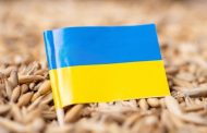 The Russian Federation spreads fakes about the export of grain from Ukraine to deflect the blame - British intelligence