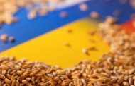 The Ministry of Infrastructure responded to Putin's threats to limit grain exports from Ukraine