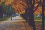 What are the daily actions that will help strengthen the immune system - said the therapist