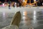 What about the light in Odesa and the region - OVA gave an answer