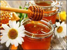 Water with honey on an empty stomach: Is it really useful?