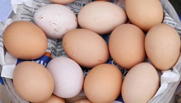 انخفض إنتاج البيض في أوكرانيا بنسبة 16.3٪