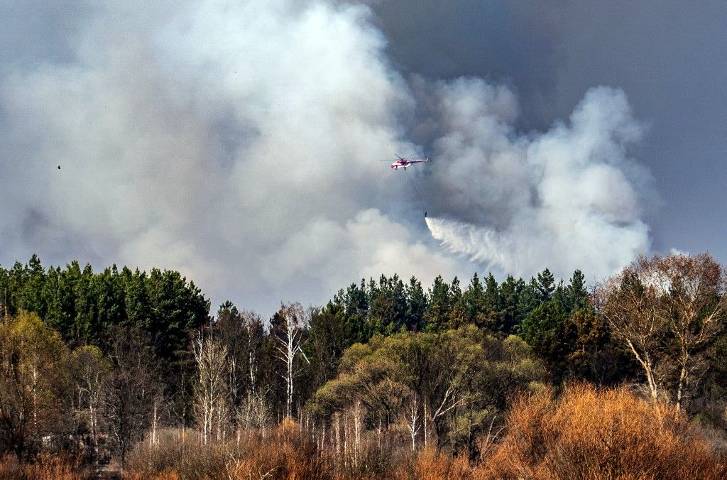 حرق الغابات في اوكرانيا