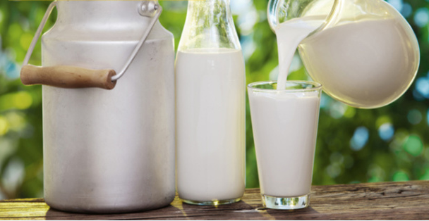 دائرة الغذاء والمستهلك الحكومية تطلق مشروعا رياديا للتحكم في الحليب الخام