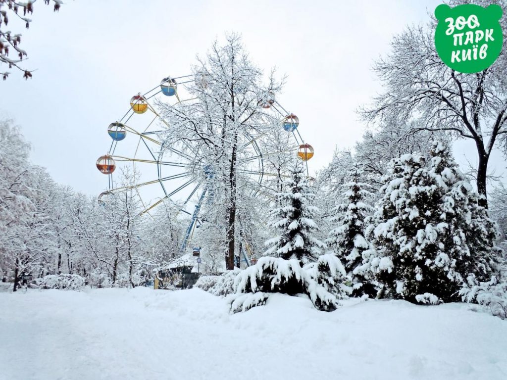 كيف ابتهجت حيوانات حديقة حيوان كييف في الثلج..صور ومشاهد