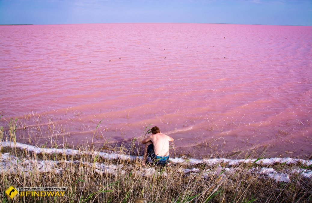 البحيرة الوردية الاكثر ملوحة في اوكرانيا