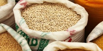 هجمات البحر الأسود تخفض صادرات القمح الروسي إلى مستويات حادة