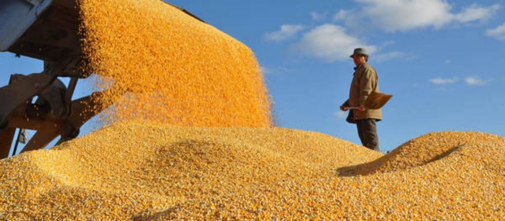 أوكرانيا قد تضاعف واردات البذور ثلاث مرات