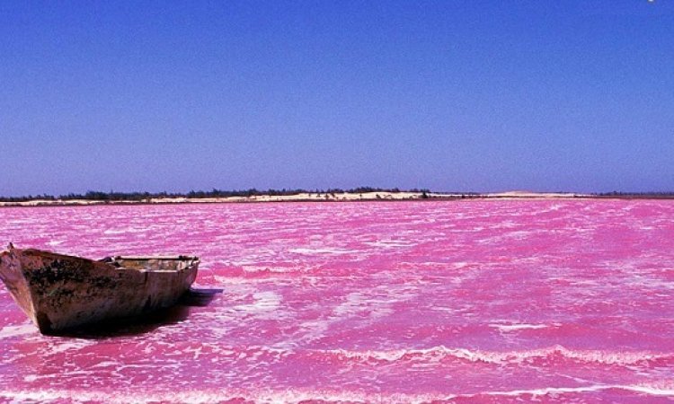 البحيره الورديه