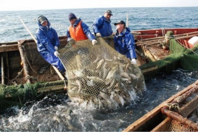 حقق مصدرو الأسماك الأوكرانيون عام 2020 زيادة بنسبة 13٪ عن العام السابق له