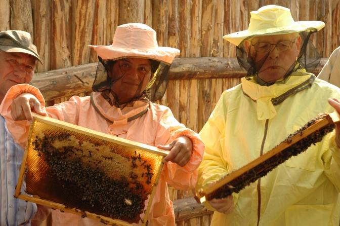 كيف يغزو العسل الأوكراني العالم وما هو الخطأ فيه؟