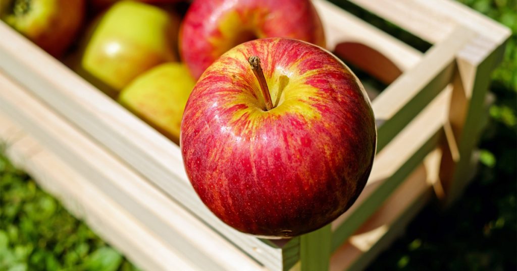ماذا يحدث لجسمك عندما تأكل تفاحة كل يوم