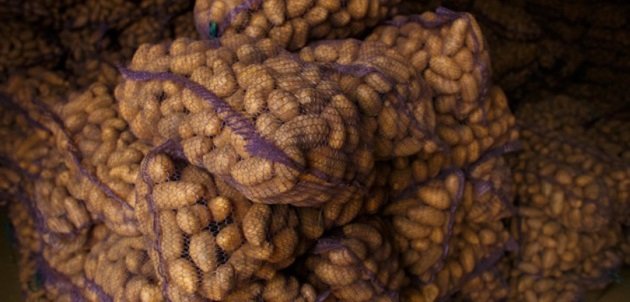 مستثمرون يعلنون بناء مصنع للبطاطس في لفيف