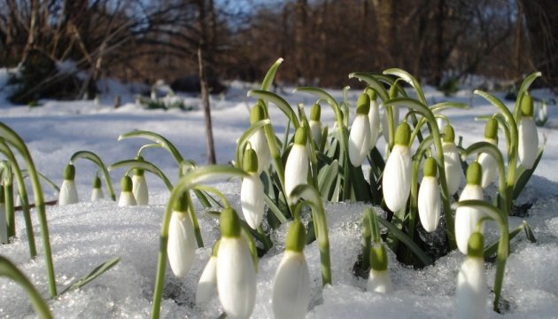 وكأن الربيع لا يريد القدوم مبكرا الى اوكرانيا الثلوج تتساقط ودرجة الحرارة اقل من 7 درجات