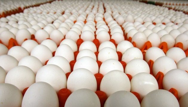 البيض الاوكراني