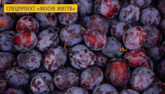 الفوائد الصحية العظيمة للبرقوق