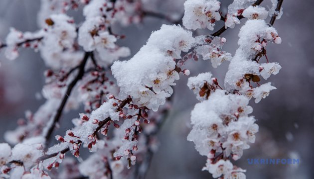 تساقط الثلوج في اوكرانيا بالتزامن مع الأعياد