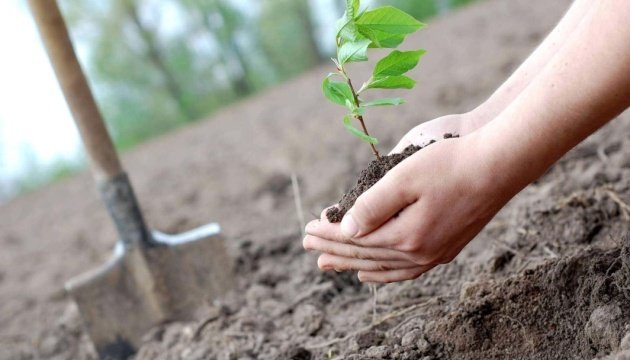 لرئيس والمسؤولون الحكوميون والسفراء سيزرعون الأشجار في فوديتسيا