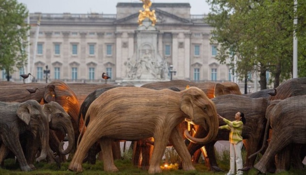 نقل قطيع من الأفيال الخشبية إلى قصر باكنغهام