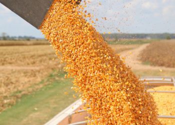 40 مليون طن حجم صادرات اوكرانيا من الحبوب