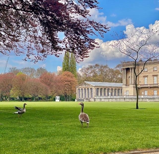 3 Royal Gardens You Must Visit This Summer3.jpg