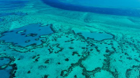 الحاجز المرجاني العظيم يهدده تغير المناخ.