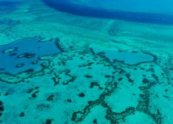 الحاجز المرجاني العظيم يهدده تغير المناخ.