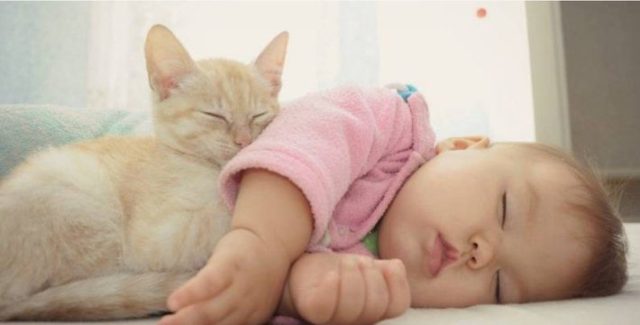 الأطفال ينامون بشكل أفضل مع حيوان أليف