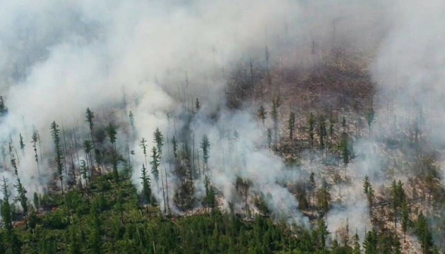 حرق أكثر من مليون هكتار من الغابات في روسيا
