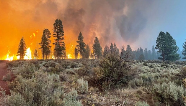 حريق ضخم يدمر 121000 هكتار من الغابات في ولاية أوريغون
