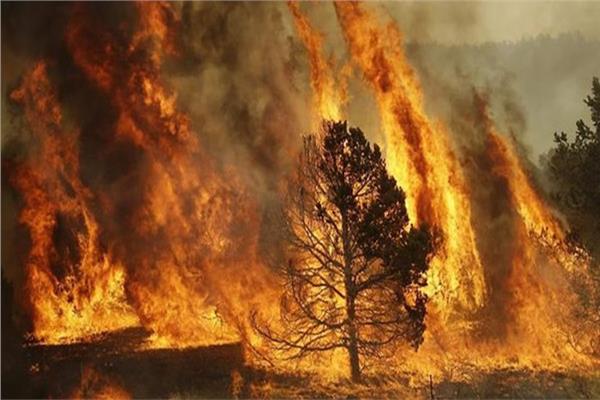 استمرار انتشار حريق ديسكي في الولايات المتحدة