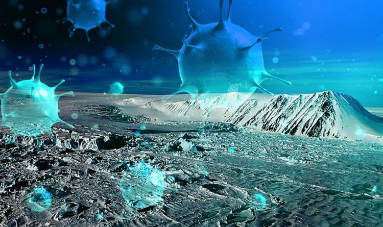 البكتيريا التي تتحلل الديزل والزيت في القطب الشمالي