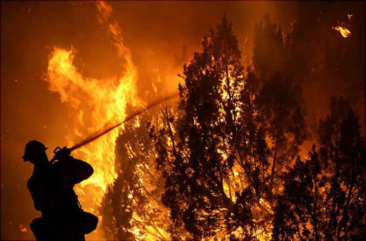 القبض على اثنين من المزارعين في إيطاليا بتهمة إشعال حرائق الغابات عمداً