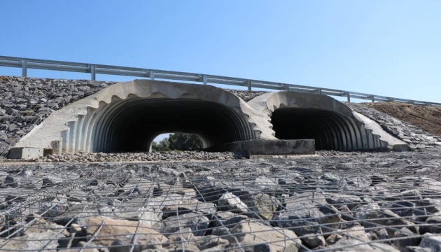 تم إصلاح الجسر في منطقة خيرسون في إطار برنامج "البناء الكبير"