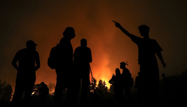 حرائق الغابات في الجزائر أودت بحياة 42 شخصا
