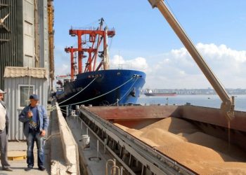 الجزائر تكمل متطلبات استيراد الحبوب من اوكرانيا